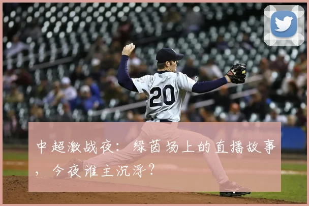 中超激战夜:绿茵场上的直播故事,今夜谁主沉浮?