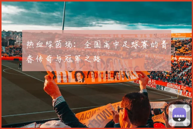 热血绿茵场：全国高中足球赛的青春传奇与冠军之路
